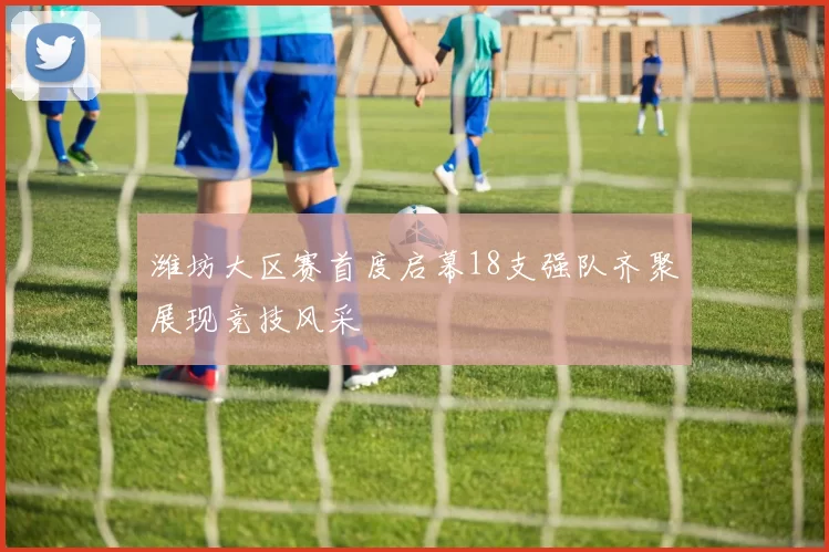 潍坊大区赛首度启幕18支强队齐聚展现竞技风采