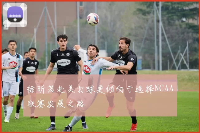 徐昕若赴美打球更倾向于选择NCAA联赛发展之路